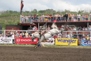 Lea Park Rodeo - Alberta Rodeos